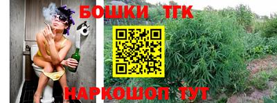 Альфа ПВП Кандалакша