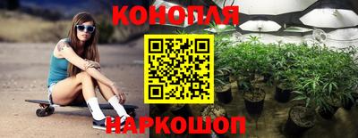 Альфа ПВП Кандалакша