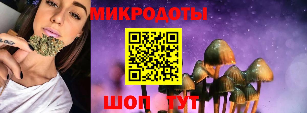 Кунгур  Галлюциногенные грибы Cubensis  Вход с VPN 